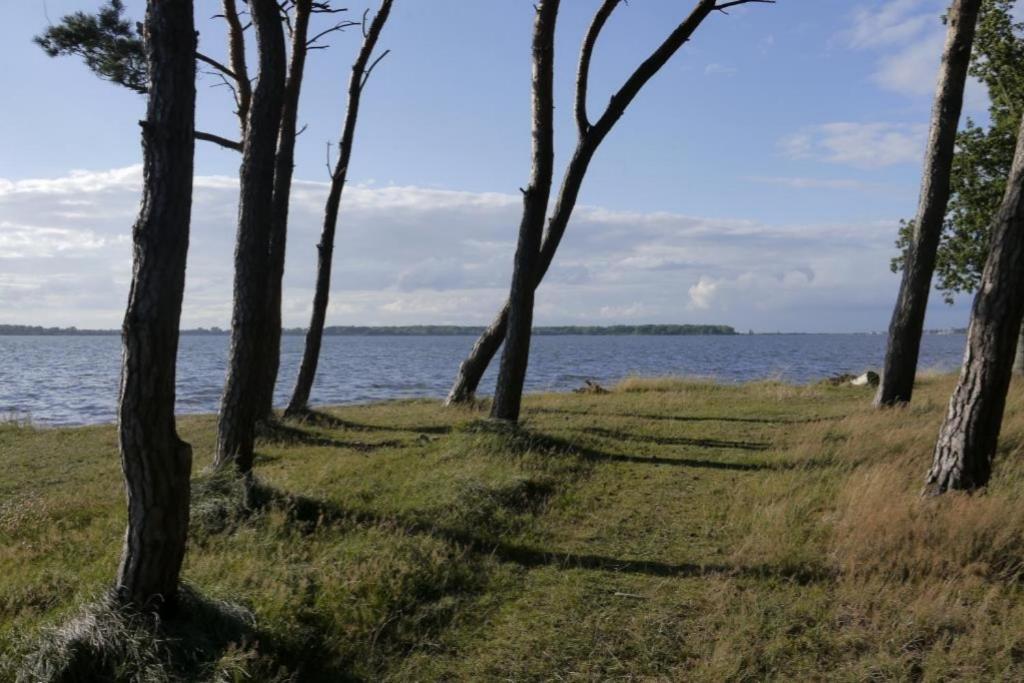 Fewo 08 Seemoewe Mit Blick Auf Salzhaff Und Ostsee Rerik Luaran gambar